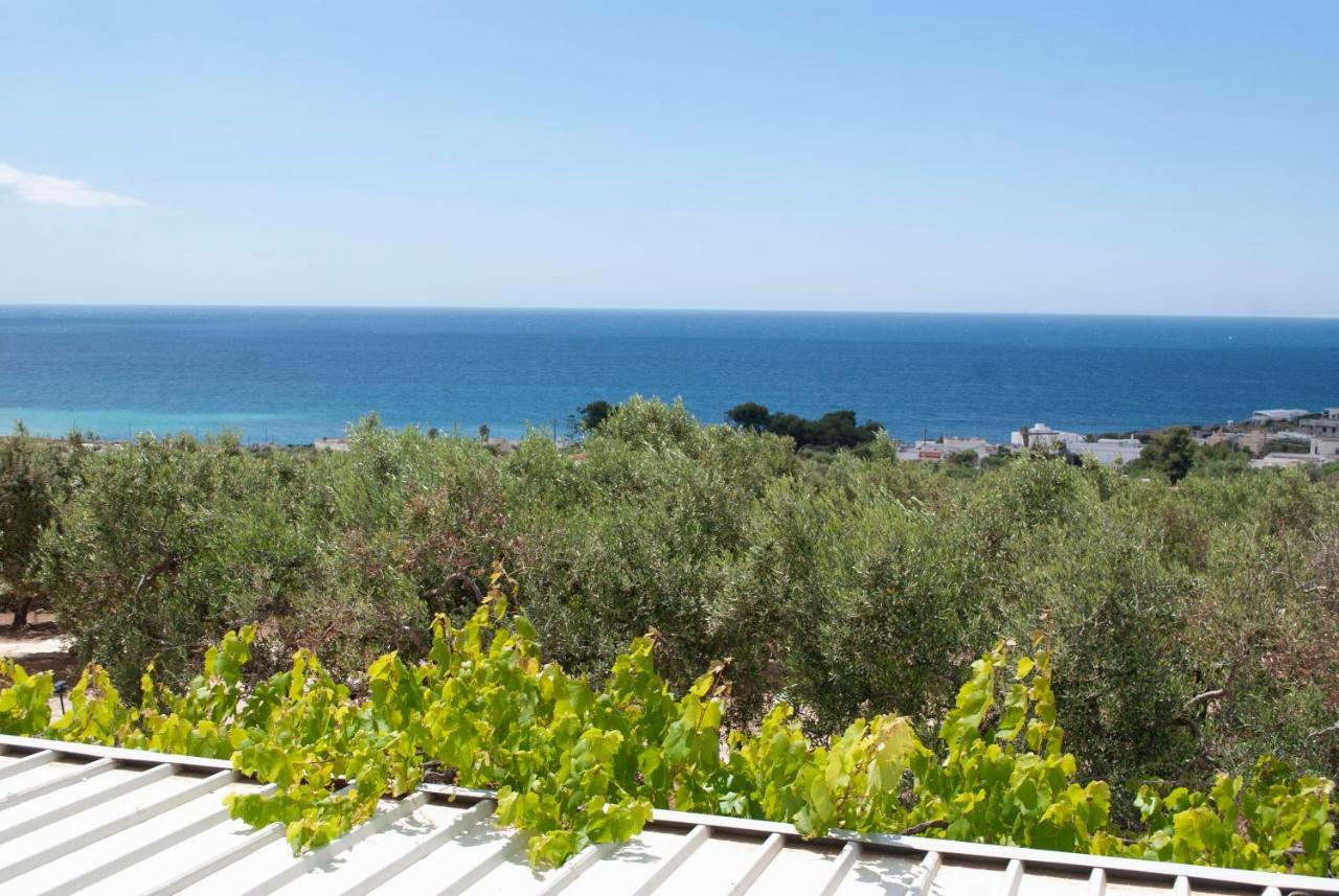 Appartamento La Mennula Garden Salignano  Esterno foto