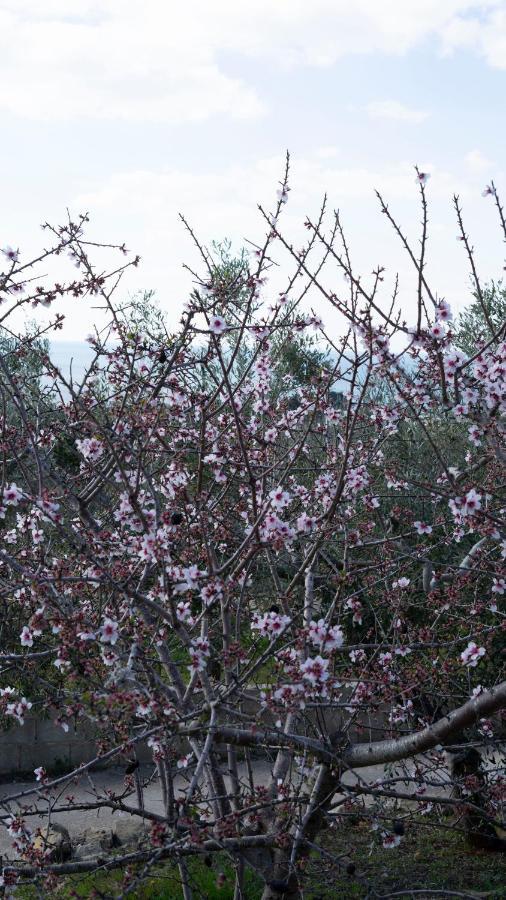 Appartamento La Mennula Garden Salignano  Esterno foto